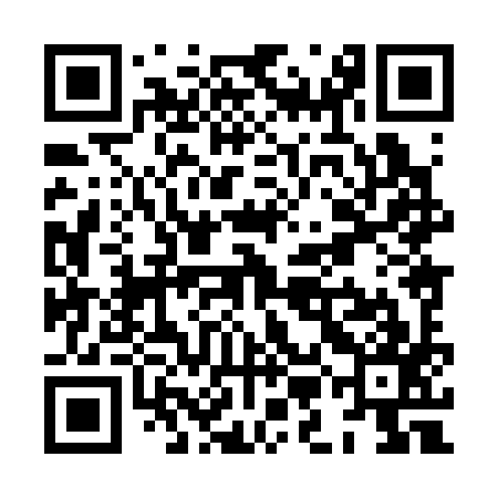 QR code for XMH397