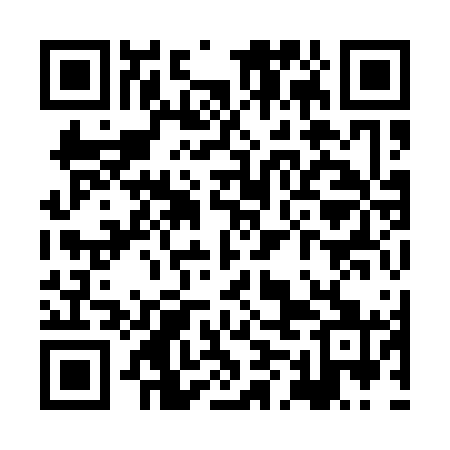 QR code for XMI161