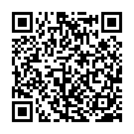 QR code for XML161