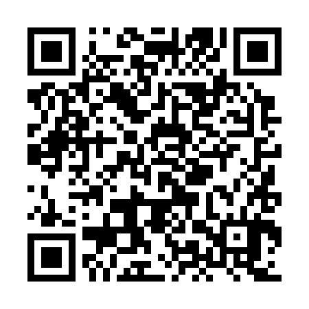 QR code for XMT384