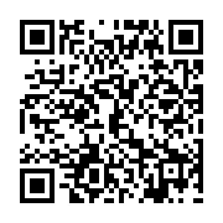 QR code for XND389