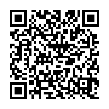 QR code for XNF333