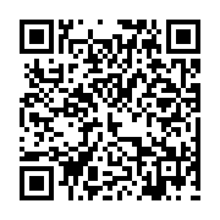 QR code for XNF391