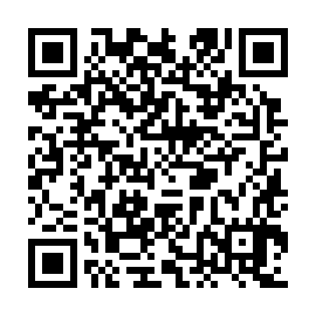 QR code for XNK387