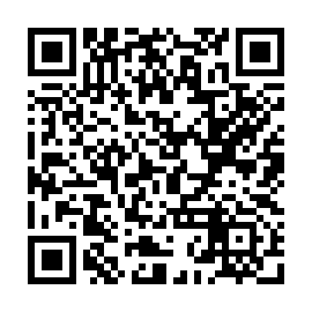 QR code for XNK393