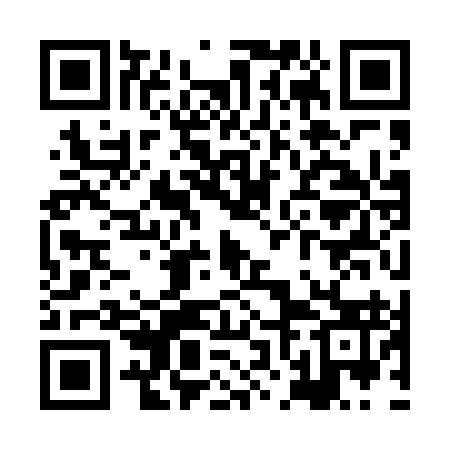 QR code for XNK493