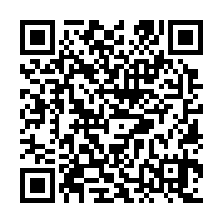 QR code for XNO335