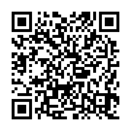 QR code for XNP333