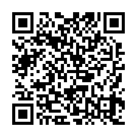 QR code for XNX239