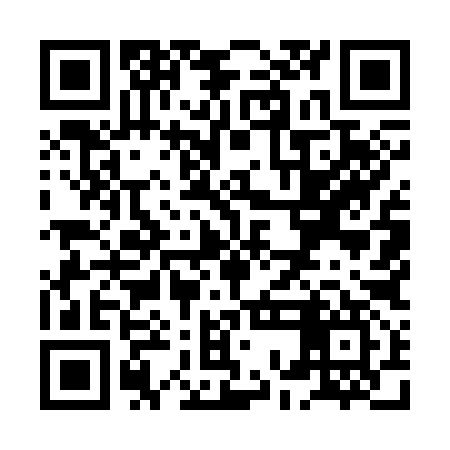 QR code for XOM397