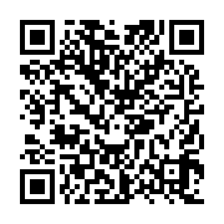 QR code for XPB919