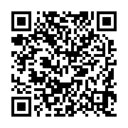 QR code for XPI291