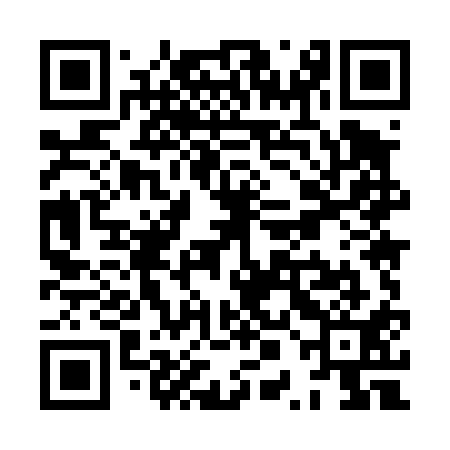 QR code for XPM411
