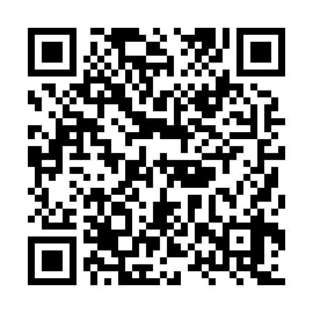 QR code for XPP838