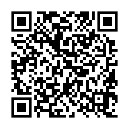 QR code for XPU395
