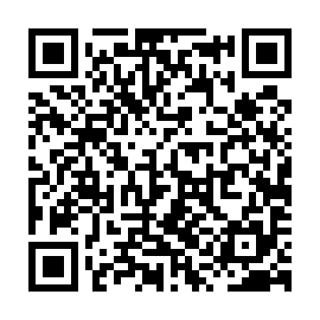 QR code for XQD595