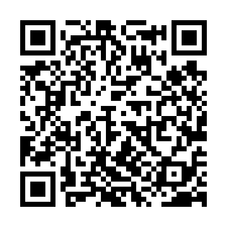 QR code for XQL619
