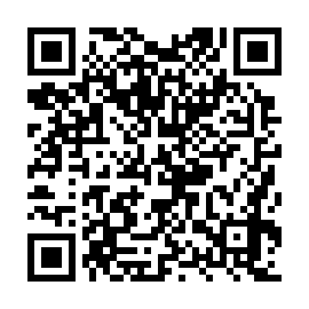 QR code for XQP378