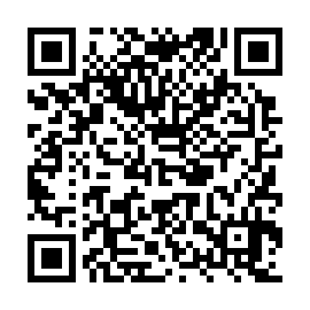 QR code for XQT334