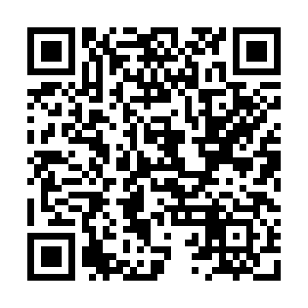 QR code for XRH383