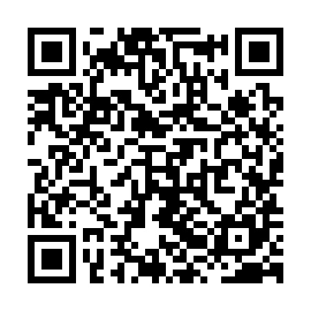 QR code for XRK385