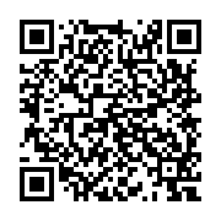 QR code for XRO993
