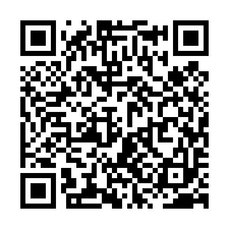 QR code for XSE493