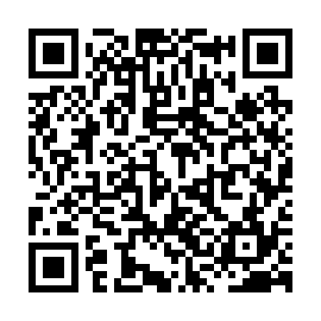 QR code for XSG234