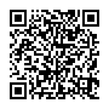 QR code for XSI331