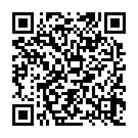 QR code for XST338
