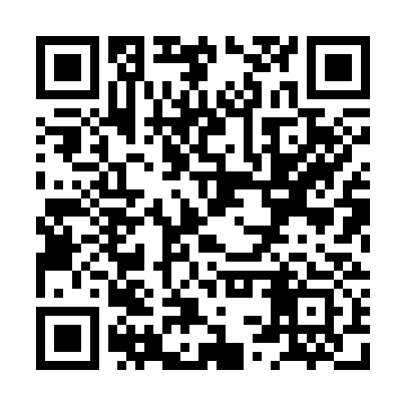 QR code for XSX333