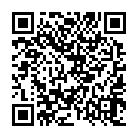 QR code for XTO317