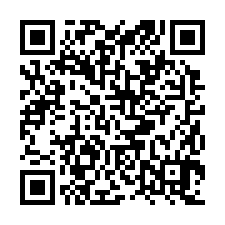 QR code for XTR384