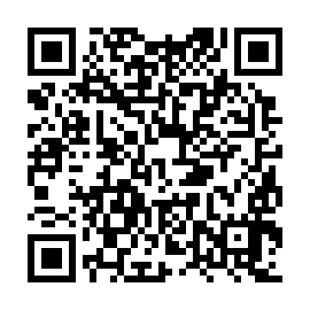 QR code for XTS397