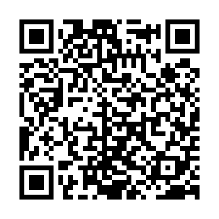 QR code for XTS509