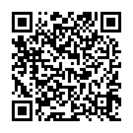 QR code for XUD919