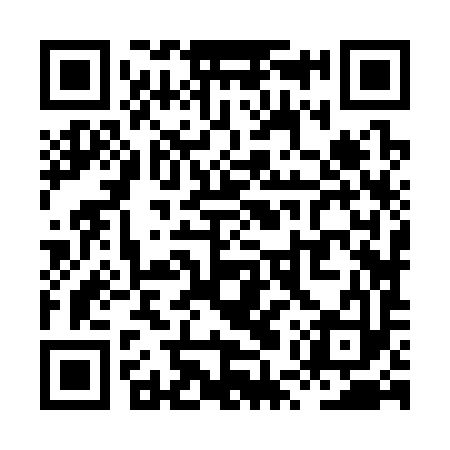 QR code for XUZ393