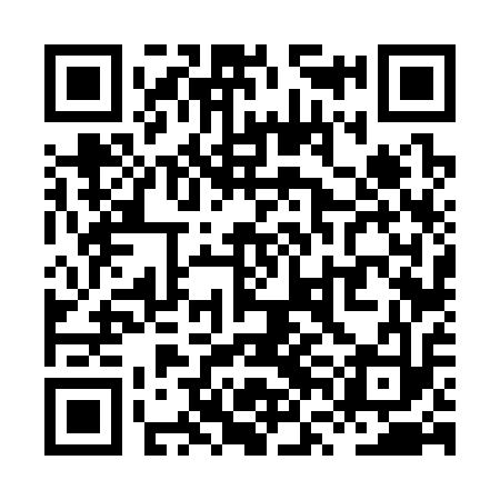 QR code for XVF313