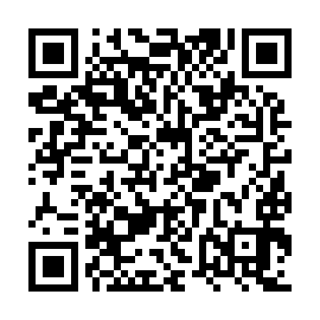 QR code for XVF993
