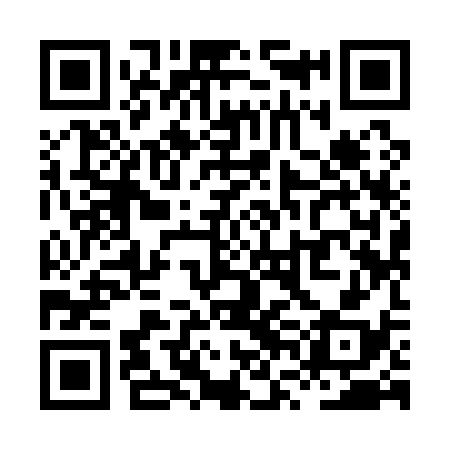 QR code for XVI138