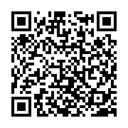 QR code for XVI339