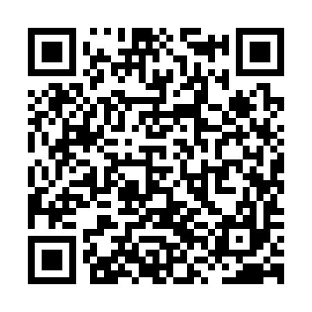 QR code for XVI397