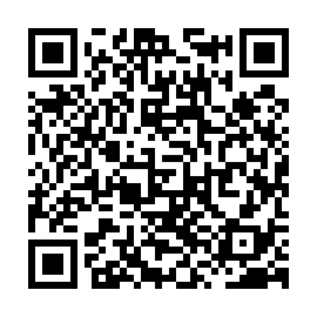 QR code for XVI538