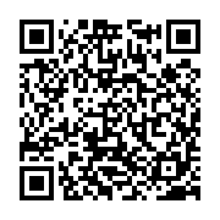 QR code for XVI595
