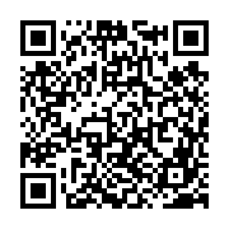 QR code for XVI666