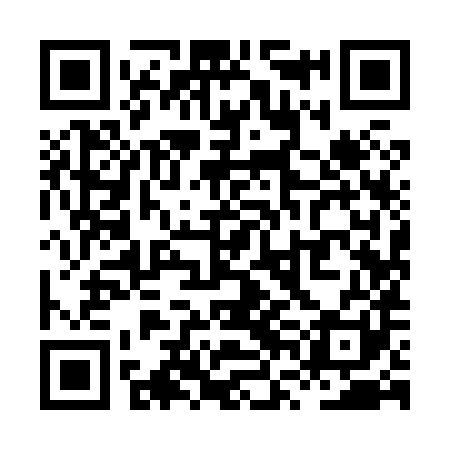 QR code for XVI881