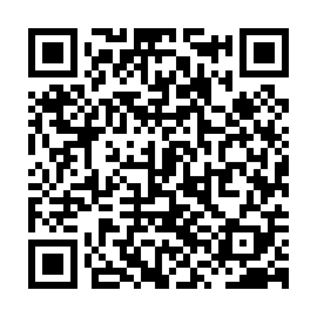 QR code for XVM009