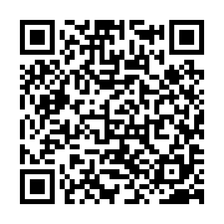 QR code for XVM295