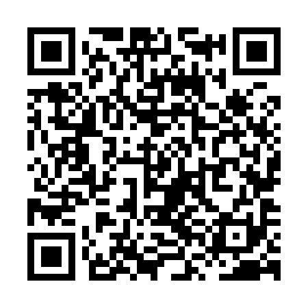 QR code for XVN991