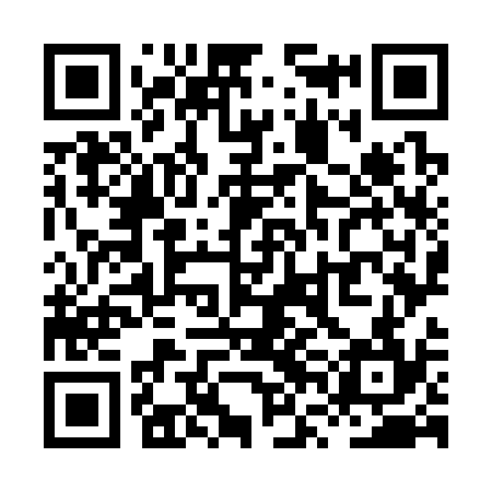 QR code for XVO334